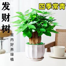 �lؔ�������׻�ֲ���҃ȿ͏d�GֲС�辰�ļ������k���҃����Ի���