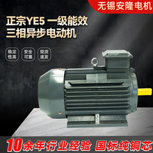 ����YE5 һ����Ч�����첽�綯��