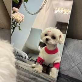 夏季宠物背心猫猫咪薄款雪纳瑞比熊博美贵宾泰迪小型幼犬狗狗衣服