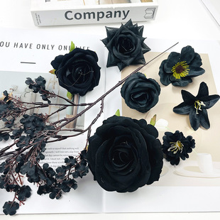 �����ɫϵ���^ õ�廨�M����diy�����^����^����zӰ���߰���ϵ