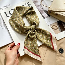 С���L����ɽ�軨�z�����L�͹ŷ������lС�z��70cm����z�������l