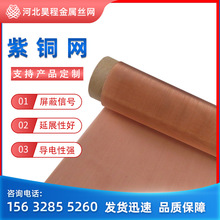 SҬF؛200Ŀ250Ŀ~늴ξWVCɢCĥ~W