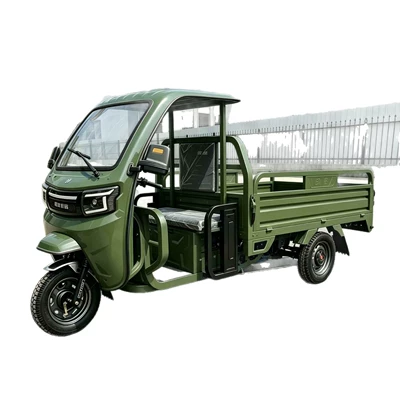 African Tricycle, Cargo Vehicle, Sərnişin üçtəkərli motosikllar