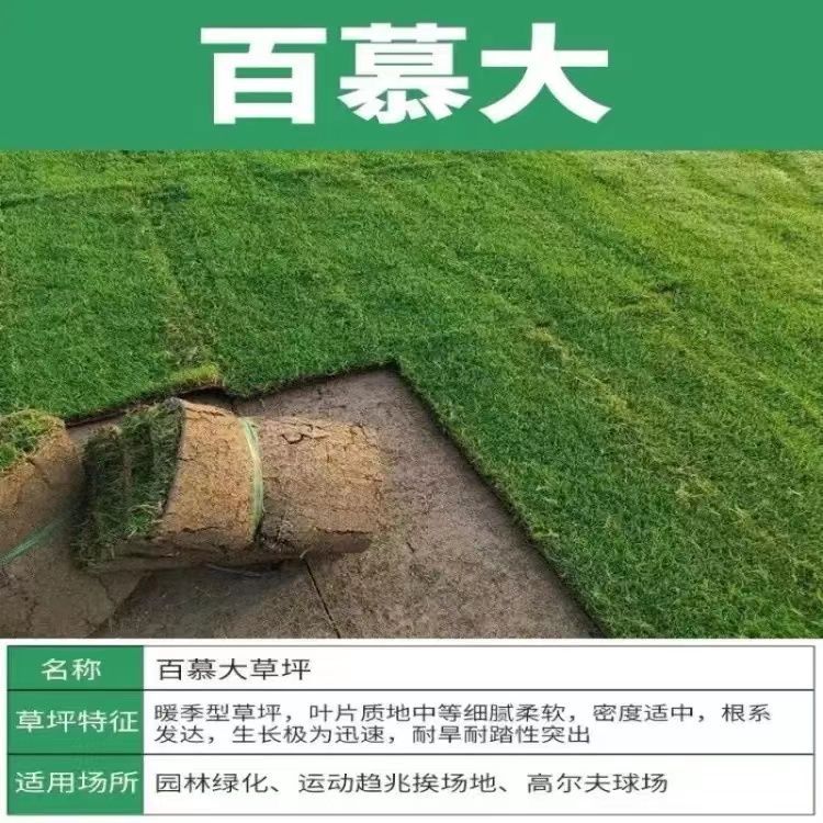 엔지니어링*녹화(버뮤다*) 7841+