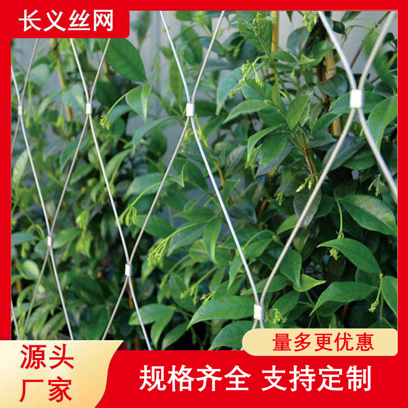 墙体植物攀附网 柔性卡扣编织绳网  304 316不锈钢绳网防护网