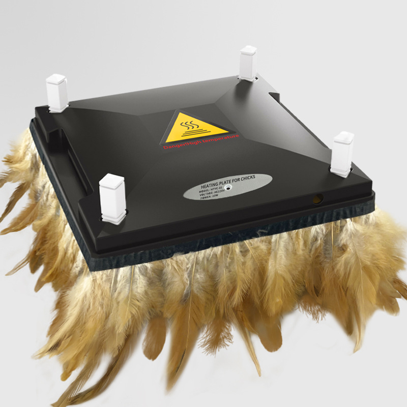 Calentador de pollo de temperatura constante, pabellón de cría con piel de pollo, equipo de aislamiento de mascotas, pabellón de aislamiento de calor al por mayor