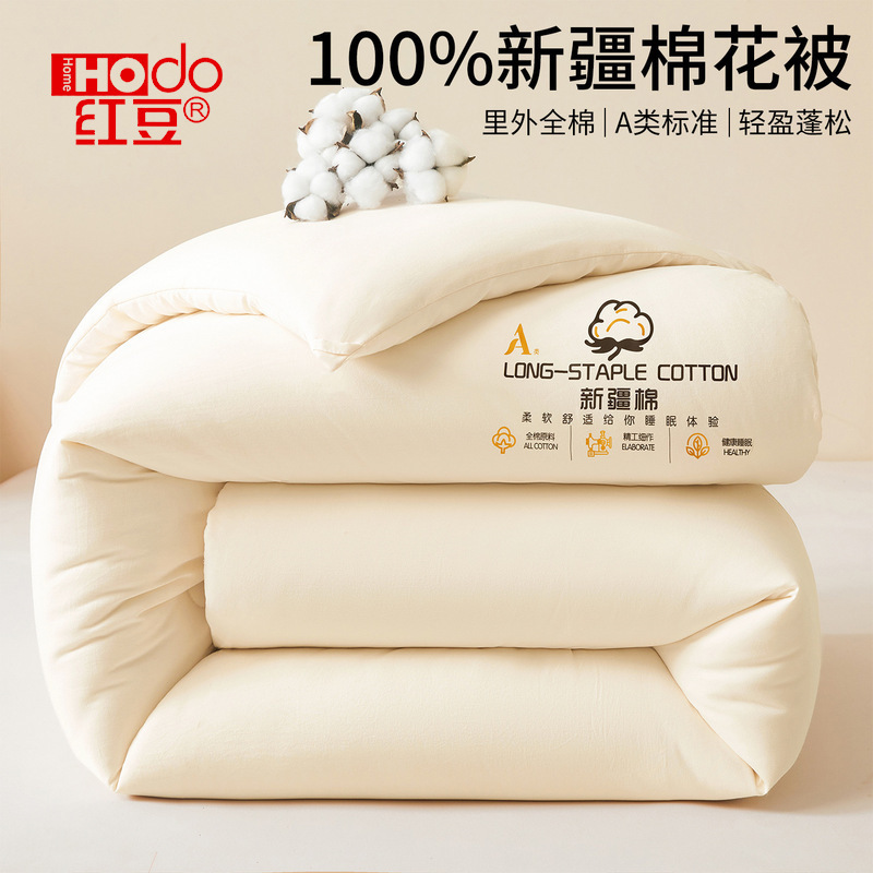 Class a Xinjiang Cotton Quilt Core Thickeneded Warm Winter Quilt Dormitory Single and Double Spring & Fall Quilt Universal for All Seasons