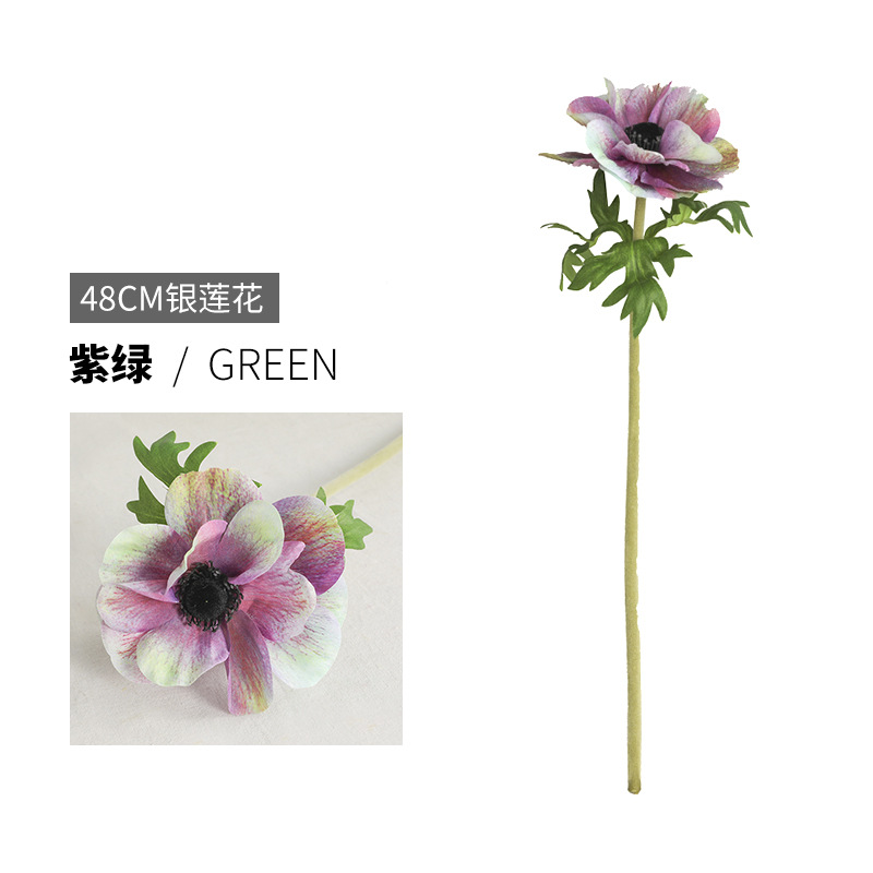 17 # 퍼플 그린