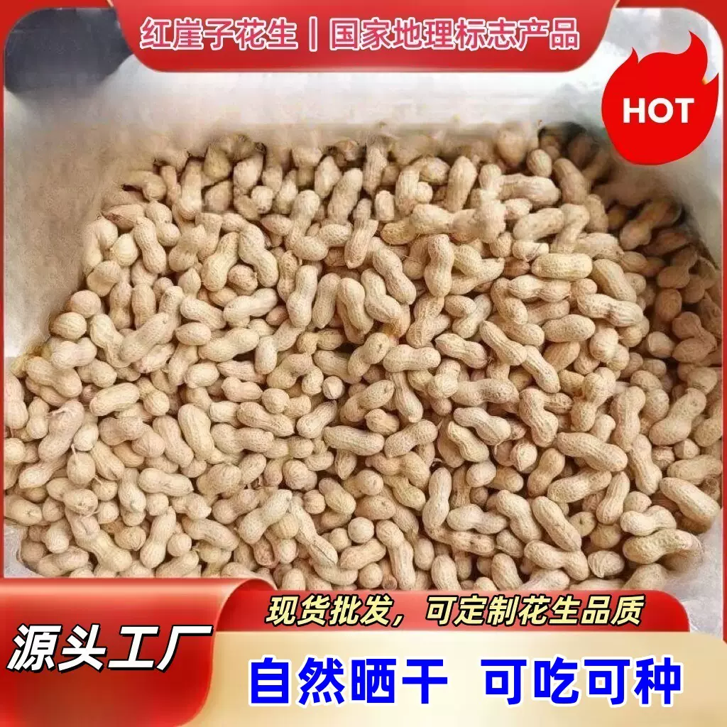 生花生带壳东北小珍珠晾晒新货商用散货批发粉皮可吃可种农家自种