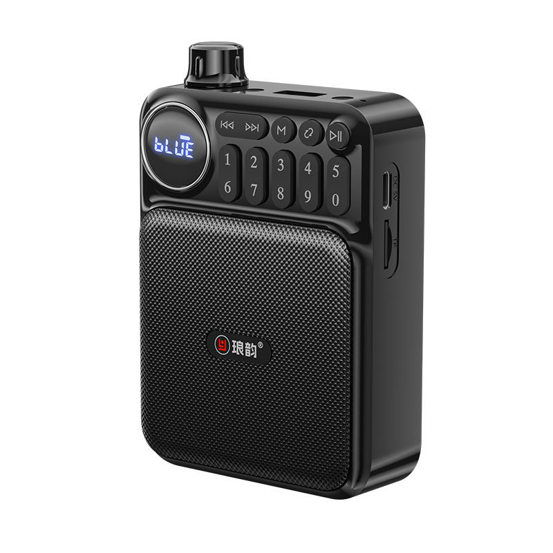 Langyun C75 Bluetooth カードオーディオラジオ高齢者ウォークマンミニポータブルプレーヤー充電式|undefined