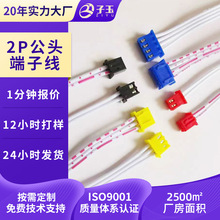 定制XH2.54端子线线束厂家生产汽车电子线束线材加工2P连接线定做
