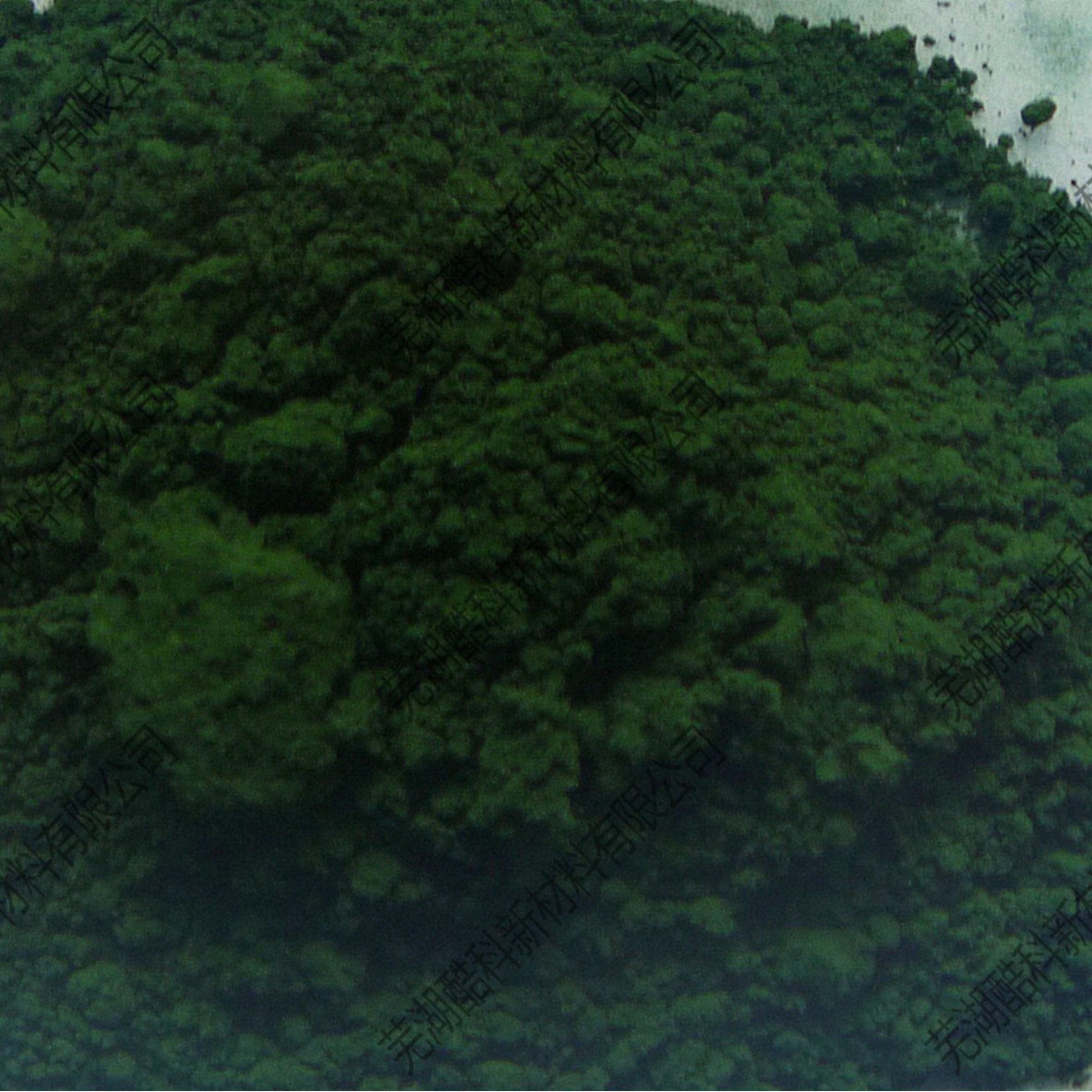 ֱ  ̡G-17/޻/Ϳר