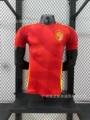 24-25 Spain Home