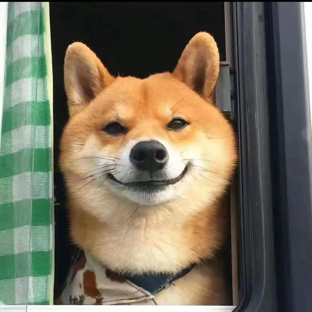 Оптовая продажа чистокровных собак породы Шиба-ину, щенков шиба, собак-компаньонов, живых щенков, живых собак, премиум-щенков.