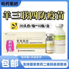 ��ș�����ķ�����������ɽ��d�����Fș��ș���ؑ�������