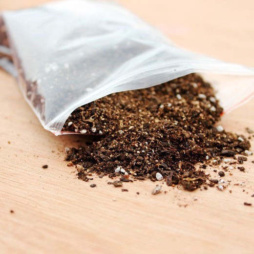 Micro paisaje y plantas suculentas suelo especial 200g jardinería materiales vegetales jardinería nutrición que contiene fertilizantes