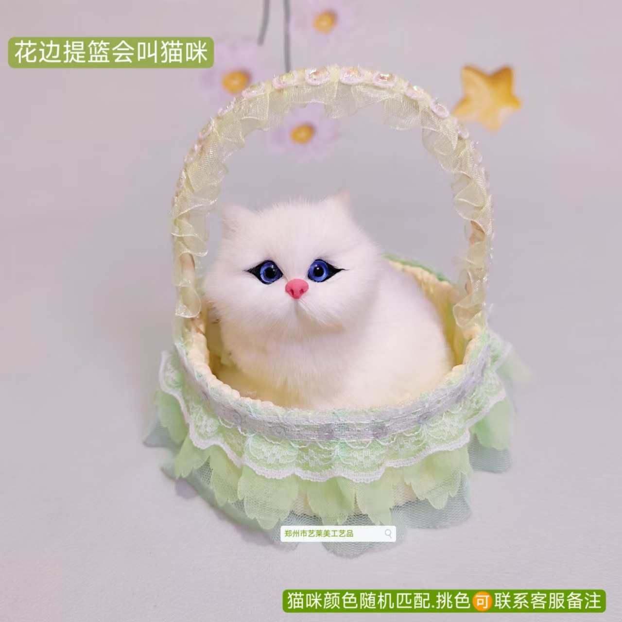 녹색 스팽글 레이스 바구니 고양이는 짖을 수 있습니다