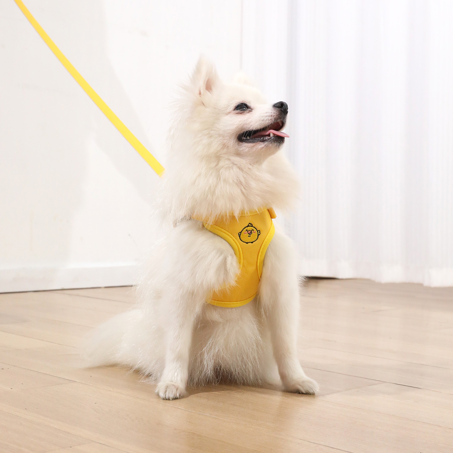 Z-estilo chaleco fuera para pasear al perro cuerda para el pecho y la espalda correa para el perro bordado de dibujos animados para perros correa para el pecho y la espalda suministros para mascotas