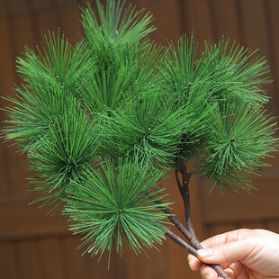 �۴��Rβ��ᘷ�������~ӭ����������b��͕��ɘ�֦����@�־G��