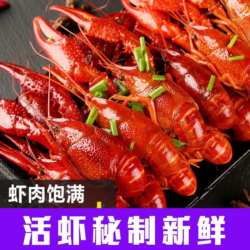 Spicy and spicy Garlic Crayfish Cooked spicy Sanxiang heating precooked and ready to be eaten Fresh Prawns Firing vacuum box-packed commercial