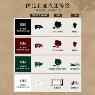 �ͬ��������� �ژ˼�ʳ��������8.0kg