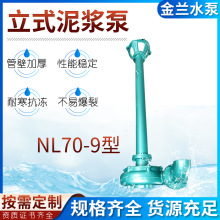 泥浆泵NL70-9疏浚污水泵3kw离心排污泵抽水泵抽水机自吸自吸式