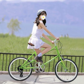 其他配件;自行车轮胎;山地自行车