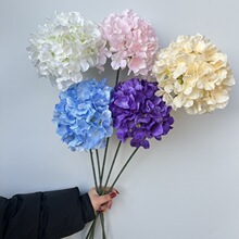 90Ƭ��ꖽ�����滨 ���������c�Ҿ��b廨�Ƶ�Ӱ�ǔzӰ����