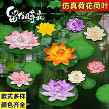 ����˯ɏ���~���ɻ������~��ͥԺ�b�粼���b����ϻ��@�쾰����
