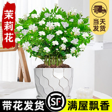 ���������ļ��_�r����ֲ�ﴹ�z�ذꎧ�������B�Gֲ�҃ȗd�ӻ���