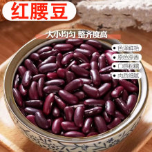 �t��������s�Z�r���Ԯa�t���tܿ����t�����r�󜫴���Ӱ���ּZ