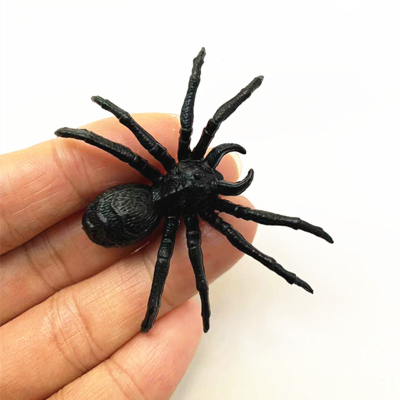 c03d5bdcafddcfd8260b5933e9ca34