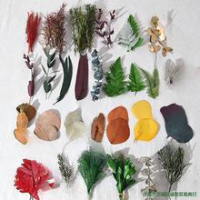 ֱXչʾܶhռ{ָܽ朼ϵƷ錚е