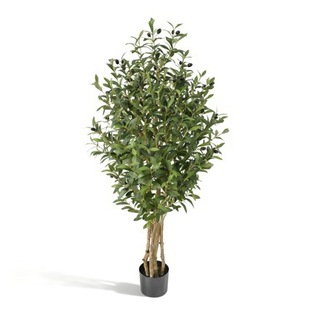 ���Q����b�����ϙ�� �F؛�羳����Gֲ�����ϙ�������҃ȼ٘�