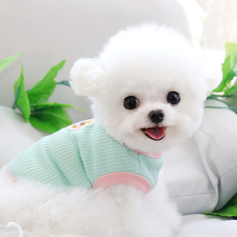 귀여운 고양이 옷 여름 얇은 봉제 인형 고양이 작은 새끼 고양이 고양이 방지 흘리기 파란색 고양이 애완견 여름 조끼