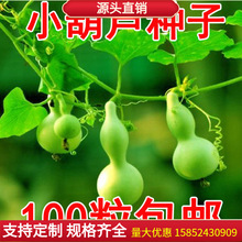 �߲˷N�Ӵ��ﲥ�Ϲ��N�ӽz�϶����S������Ϲ������J�N������ˮ��
