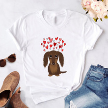 Dachshund DogDcӡtŮbQ羳wish/ebayRd