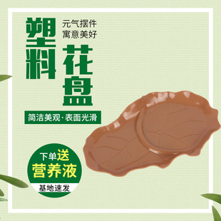 ��������ľ�������϶��⻨������бP���\ľ�脓�����Ժ��~������