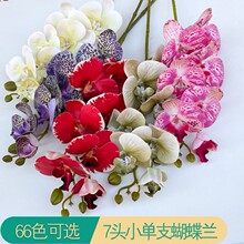 �¿��֦7�^�����m�쾰���滨9�^�����m�Ҿ�3D��ӡ�zƬ��c����