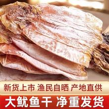 渔民新晒大鱿鱼干尤鱼板深海新鲜盐干鱿鱼爆炒铁板烧工厂牡蛎