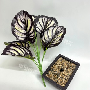 9^Pβ~ֲС辰 ֲ쾰 ҾӔ[O ٲbƷ