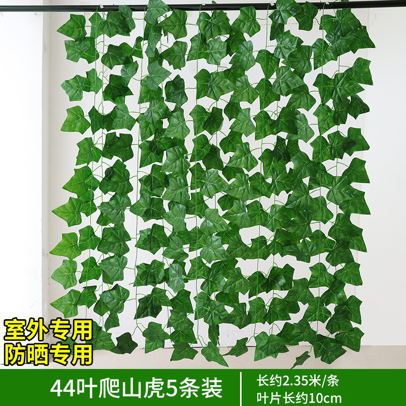 44잎 덩굴 5마리