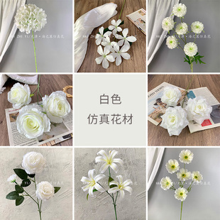 ��ɫϵ2���滨�ĺϼ� ��Y�õ���·�����ߵ�픻���õ�廨����ٻ�