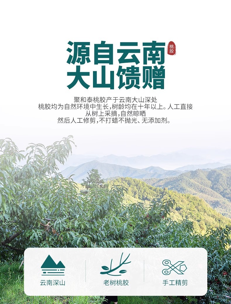 Peach Gum Tao Jiao 桃胶 Hand-Selected Large Granules 100g Jar Sun-Dried Edible Botanical Resin key features