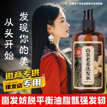 【不挂网】山茶老生姜洗发乳蓬松固发人参何首乌水露膏草本香