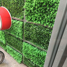 VݏSlֲTT^ڒGֲٲƺb