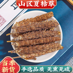 ����Ԫ �Ŀݲ���ș���Ŀݲݸ��ݲ��ë���Ĺ����Ŀ����B�����u��