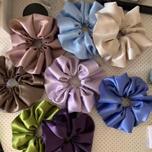 �ٴ��ﶬ�߼���ɽ�軨С���L�lȦë�����RβƤ���^l��Ů