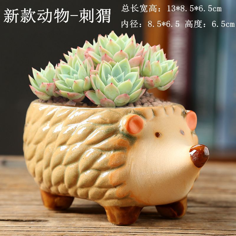 Maceta decorativa con diseño cartoon