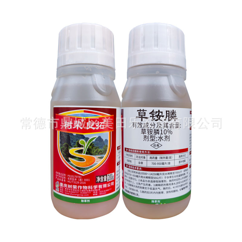 正反白底圖200克